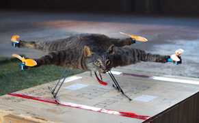 Bart Jansen, "Orvillecopter" (2012) (photo by Dennis van Zuijlekom/Flickr)