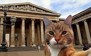 The #MuseumSelfie Scourge Is Upon Us