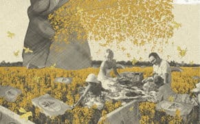 Transforming an Industrial Town into a World Fit for Winnie the Pooh