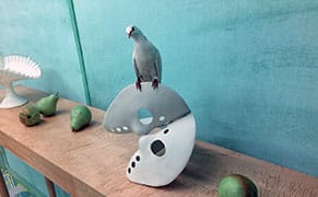 "The New Water" by Brendan Lorber