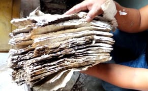 Four Million Images from the World's Endangered Archives