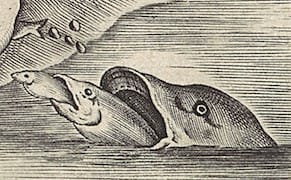 Astrological Aesthetics: March 2015 Horoscopes