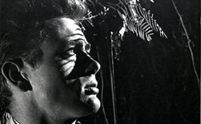 Talking Pictures with a Film Curator of 45 Years