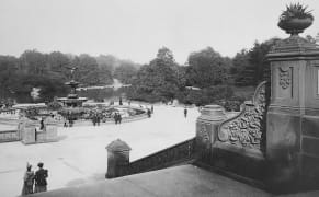 The Glass Plate Garden: Early Photographs of Central Park