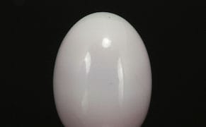 Rare Pearl Fished Out of Seafood Stew Heads to Auction