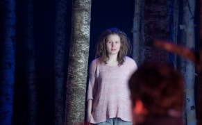 Getting Lost in the Woods of a Swedish Vampire Tale