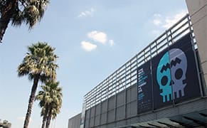 Why Do US and European Galleries Flock to Mexico City's Zona MACO?