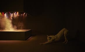 Art with a Dose of Imperialism: Pierre Huyghe at LACMA