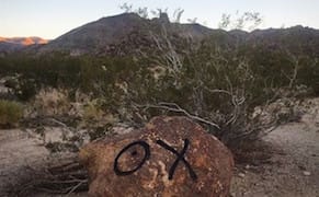 Artist in Trouble for Tagging Joshua Tree National Park