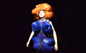 What Just Happened? The Björk Experience at MoMA