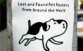 A Heartbreaking Archive of Missing Pet Posters