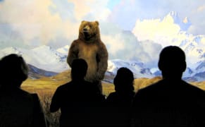 Scientists Ask Natural History Museums to Cut Ties with David Koch