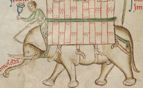 Painting a Kangaroo When You've Never Seen One