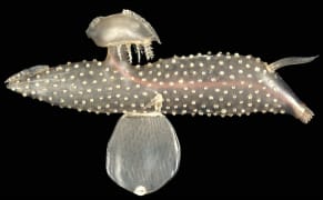 A 19th-Century Glass Menagerie of Sea Creatures Gets a Retrospective