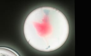 An Aquatic Video Performance Immerses Us in the California Drought