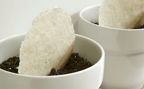 An Artist Turns Invasive Plants into Paper Sculptures