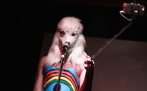 Fooling Around at a Participatory Performance Party