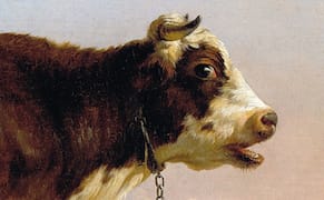 Astrological Aesthetics: May 2015 Horoscopes