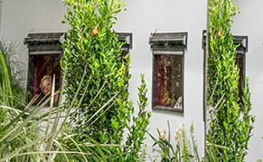 Glimpses of a Pastoral Dystopia