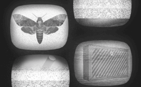 Slicing Up Eyeballs in a Surrealist Game