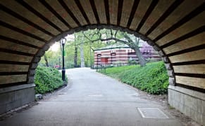 Restoring Central Park's 19th-Century Arches to Combat Its Traffic Chaos