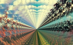 Four Poems by Sampson Starkweather