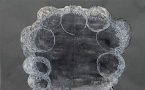 Rorschach Inkblots Conjure Up Themes of Loss in Iran