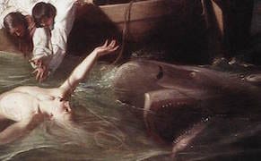 Weekend Words: Shark