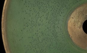 Listen to the Resurrected Voice of Alexander Graham Bell