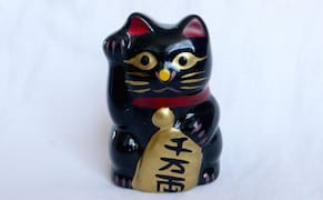 “The Curator,” an Art World Fantasy: Excerpts