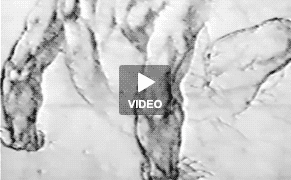 The Anxiety of Fitting In as an Artist