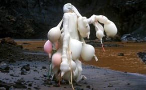 How Women Artists Have Explored Nature's Unruly Side