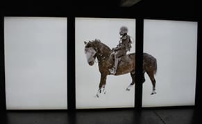 An Exhibition That Ticks Its Way Toward Apocalypse