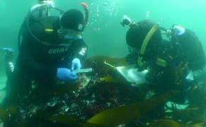 Remains of 18th-Century Slave Ship Find Safe Harbor at Smithsonian