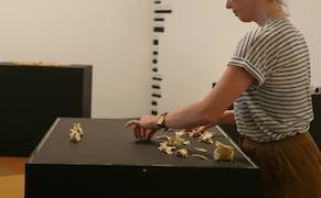 Picking Apart Outmoded Museum Practices