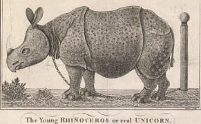 The Freaks and Fascinations of 18th-Century Entertainment