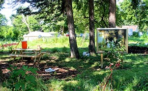 Museum Plants Artworks in Detroit's Community Gardens