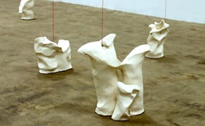 Elastic and Rigid Objects That Bend Our Point of View