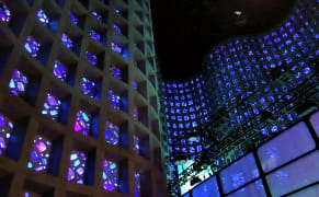 New York's Cathedral of Science Reopens with Interactive Ecology Beneath the Stars