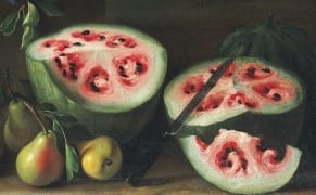 The Evolution of the Watermelon, Captured in Still Lifes