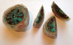 Alien Forms: 'Cosmicomics' at Frosch&Portmann