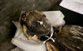 Glasgow Artists Flock to Detroit for a Creative Exchange