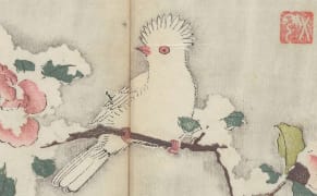 Too Fragile to Open, World’s Oldest Multicolor Printed Book Is Digitized