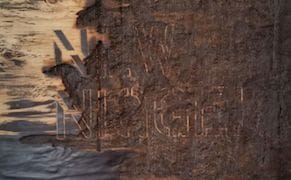 Seeing the Art for the Trees