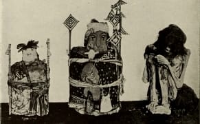 Skeletons on the Shelves: Museums' Slow Return of Indigenous Remains