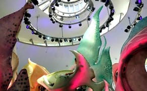 Ride a Bioluminescent Fish at New York's Newest Carousel