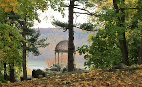 ArtRx NYC: Summer Day Trips