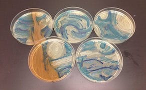 Art Grown in a Petri Dish