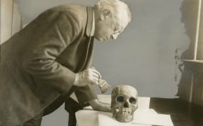 Performance Hazards, Odd Objects, and More Insights from #AskACurator Day