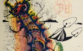 Math and Madness in a 1960s 'Alice's Adventures in Wonderland' Illustrated by Dalí